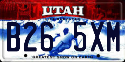 UT license plate B265XM