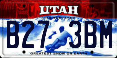 UT license plate B273BM