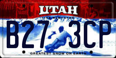 UT license plate B273CP