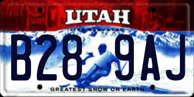 UT license plate B289AJ