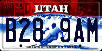 UT license plate B289AM