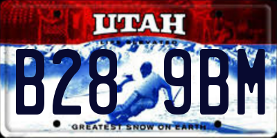 UT license plate B289BM
