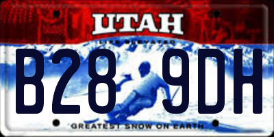 UT license plate B289DH
