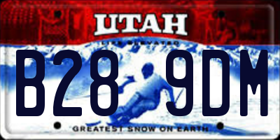 UT license plate B289DM