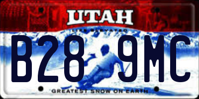 UT license plate B289MC