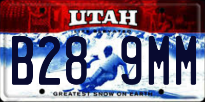 UT license plate B289MM