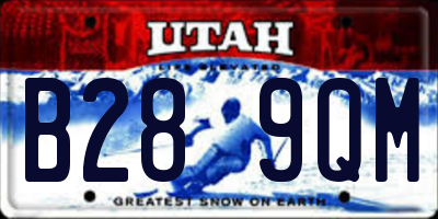 UT license plate B289QM