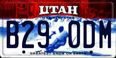 UT license plate B290DM
