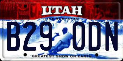 UT license plate B290DN