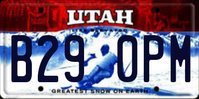 UT license plate B290PM