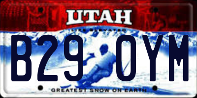 UT license plate B290YM