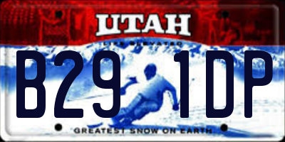 UT license plate B291DP