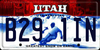 UT license plate B291IN