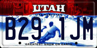UT license plate B291JM