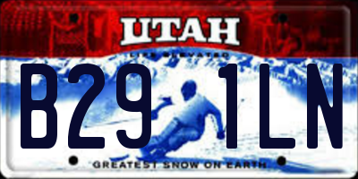 UT license plate B291LN
