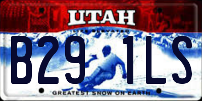 UT license plate B291LS