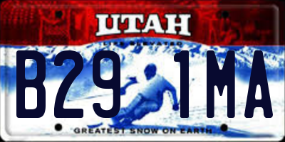 UT license plate B291MA
