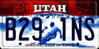 UT license plate B291NS