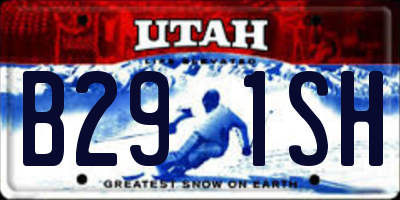 UT license plate B291SH