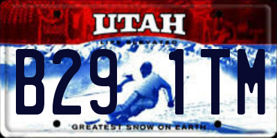 UT license plate B291TM