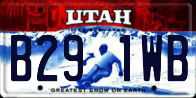 UT license plate B291WB