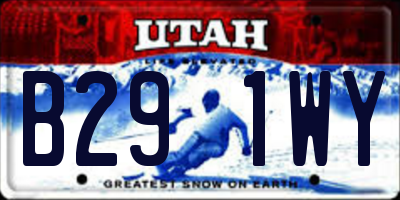 UT license plate B291WY
