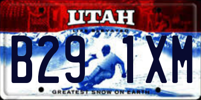 UT license plate B291XM
