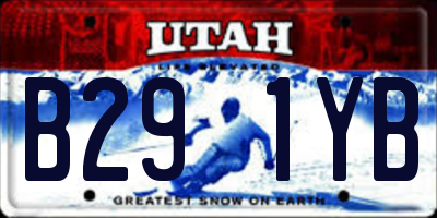 UT license plate B291YB