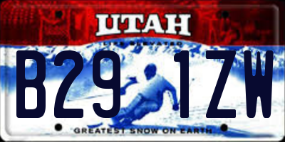 UT license plate B291ZW