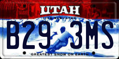 UT license plate B293MS