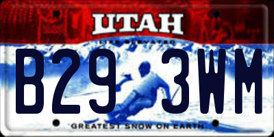 UT license plate B293WM