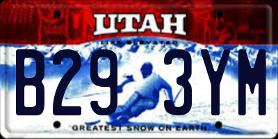 UT license plate B293YM