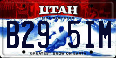 UT license plate B295IM