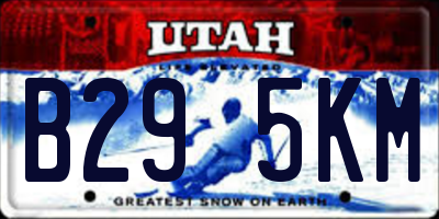 UT license plate B295KM