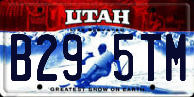 UT license plate B295TM