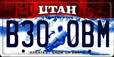 UT license plate B300BM
