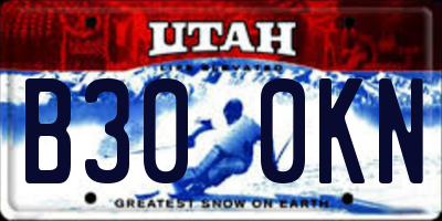 UT license plate B300KN