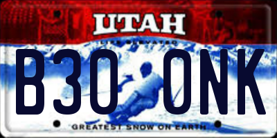 UT license plate B300NK