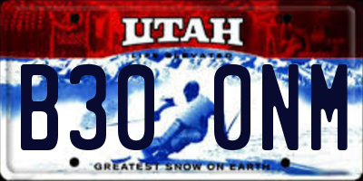 UT license plate B300NM
