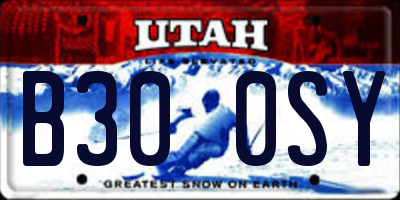 UT license plate B300SY