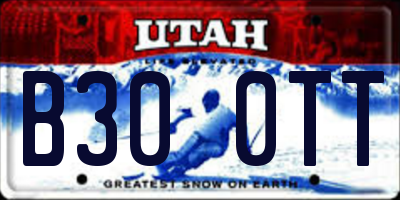 UT license plate B300TT