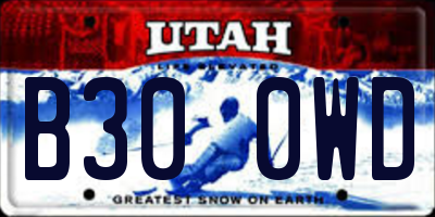 UT license plate B300WD