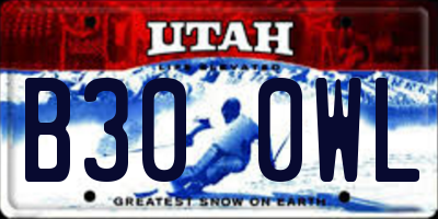 UT license plate B300WL