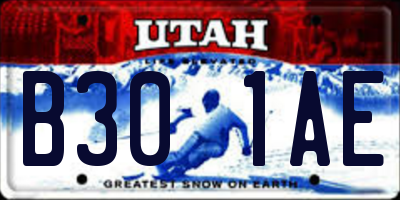 UT license plate B301AE