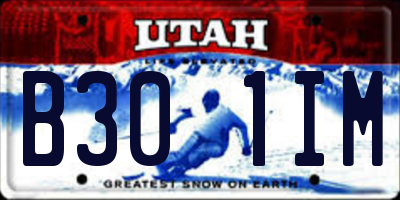 UT license plate B301IM
