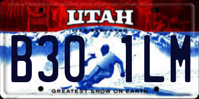 UT license plate B301LM