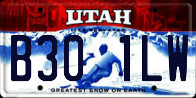 UT license plate B301LW