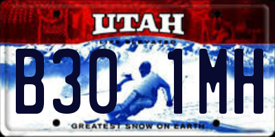 UT license plate B301MH