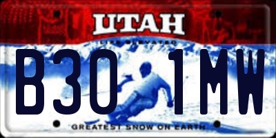 UT license plate B301MW