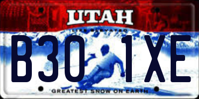 UT license plate B301XE
